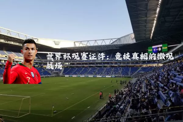 世界杯观赛证件:竞技真相的微观战场